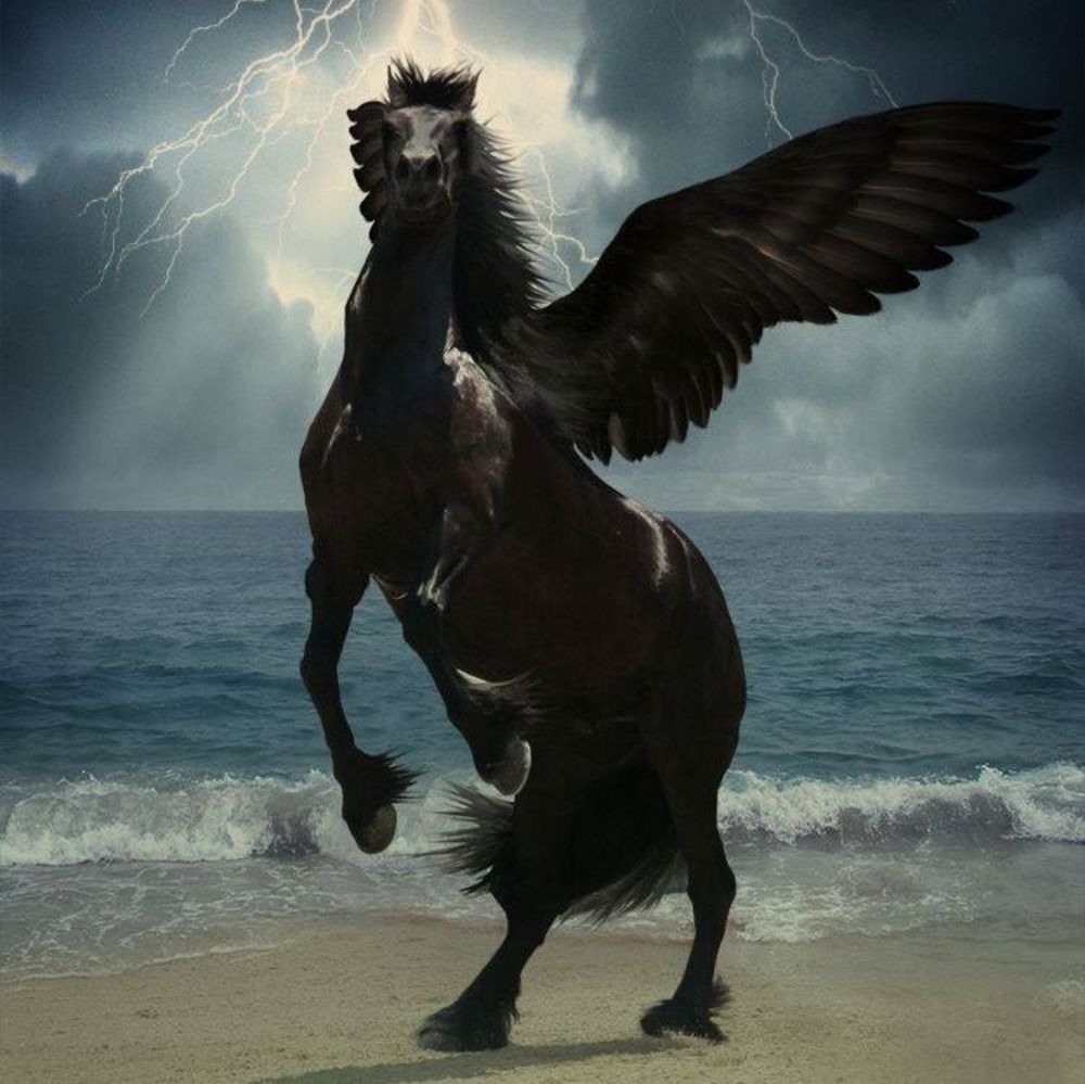 Meet your Posher, Lawrence